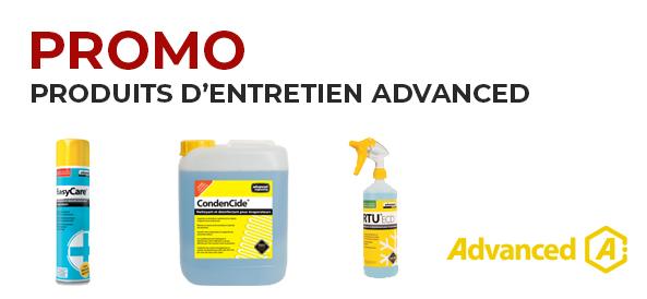 Halloween est passée, fini la fête pour les araignées !